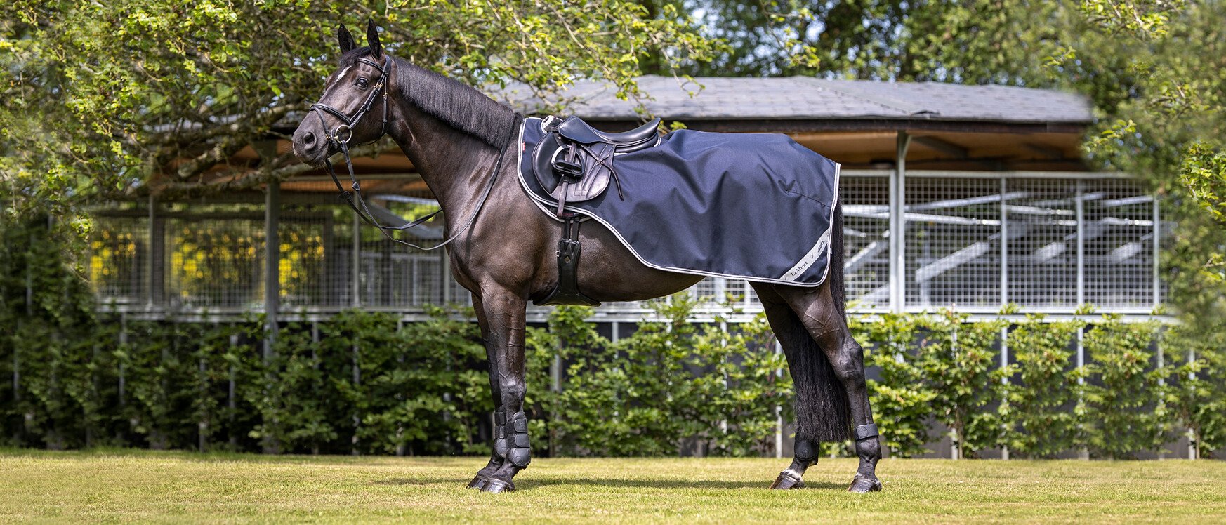 Horse Exercise Sheets - Keep Your Equine Protected | LeMieux