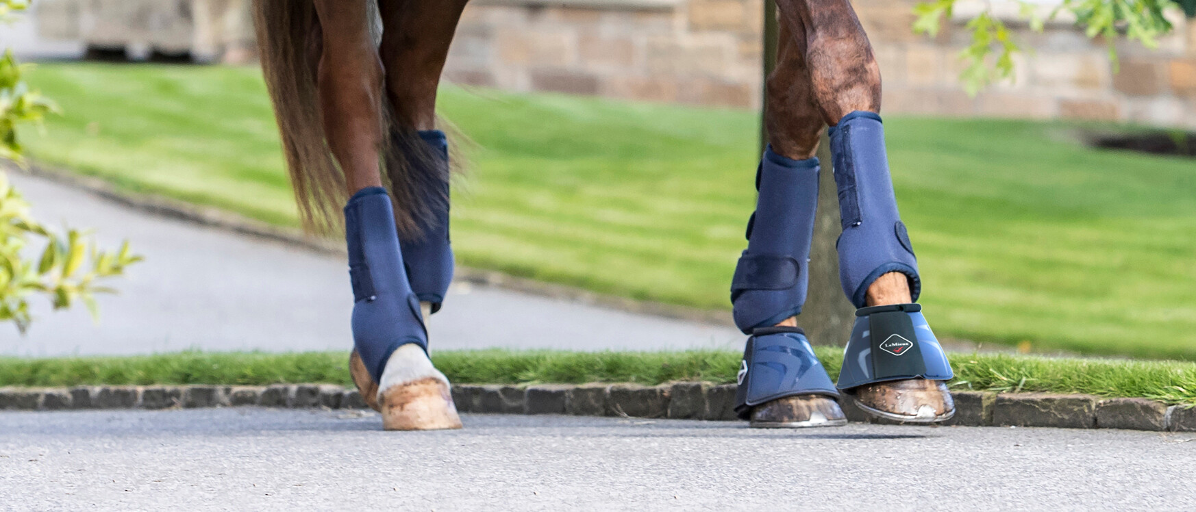 Support Boots for Horses to Help with Injuries | LeMieux