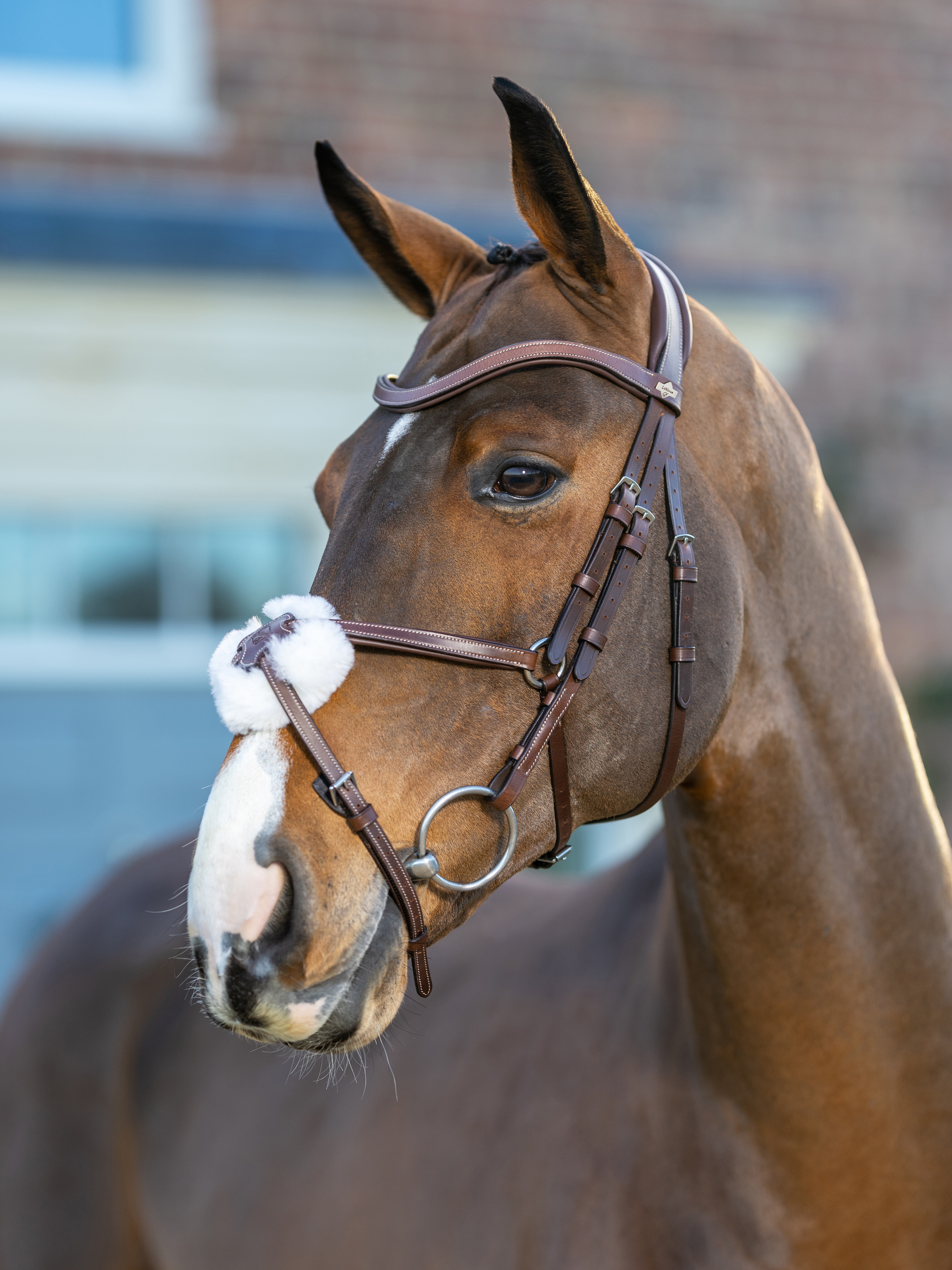 Shop Our Wide Selection of Quality Bridle Reins