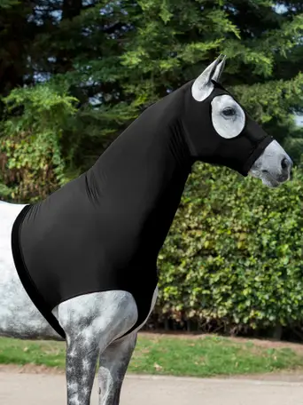 Couverture magnétique pour cheval LeMieux Conductive Magno - Autres  couvertures - Textile - Cheval