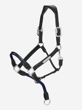 The Ultimate Control Headcollar for Your Horse
