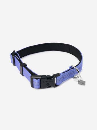 Chelsea Dog Collar Tan New