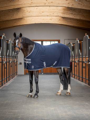 Find the Perfect Stable Rug for Any Season