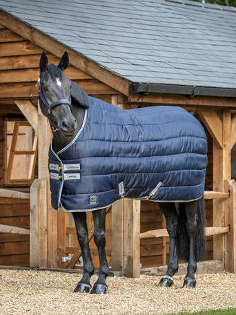Find the Perfect Stable Rug for Any Season