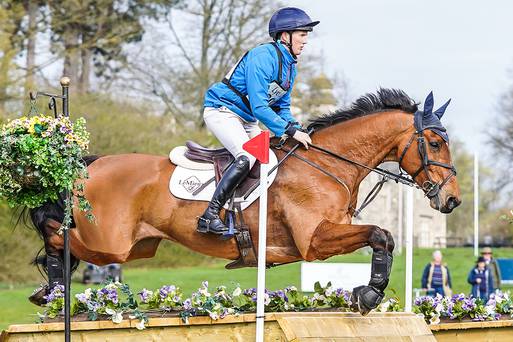 Does My Horse Need To Wear Boots?  Cross Country, Dressage, Showjumping &  Eventing