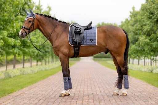 Comfort Elite Icy Comfort Saddle Range — Comfort Equine