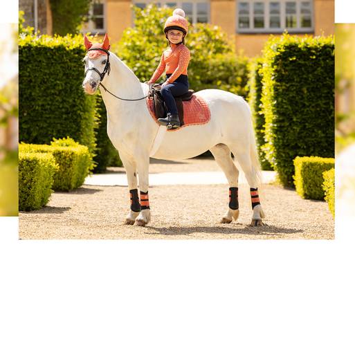 LeMieux, the finest Equestrian products in the world.